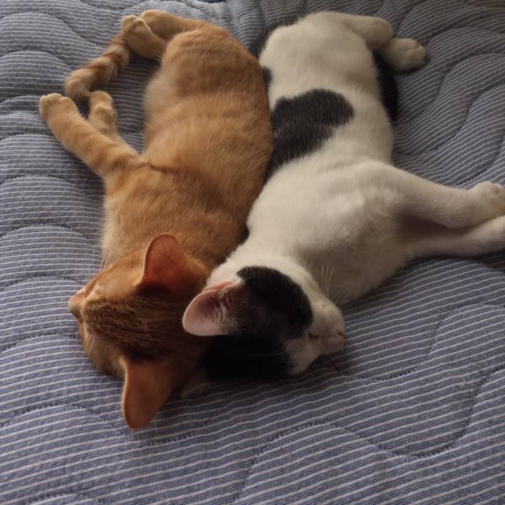 1f15246a 3376 4334 95e8 3d95f50e021f