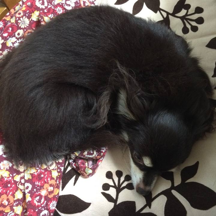 1f15ca81 998f 4cc4 a253 bfad125b731a