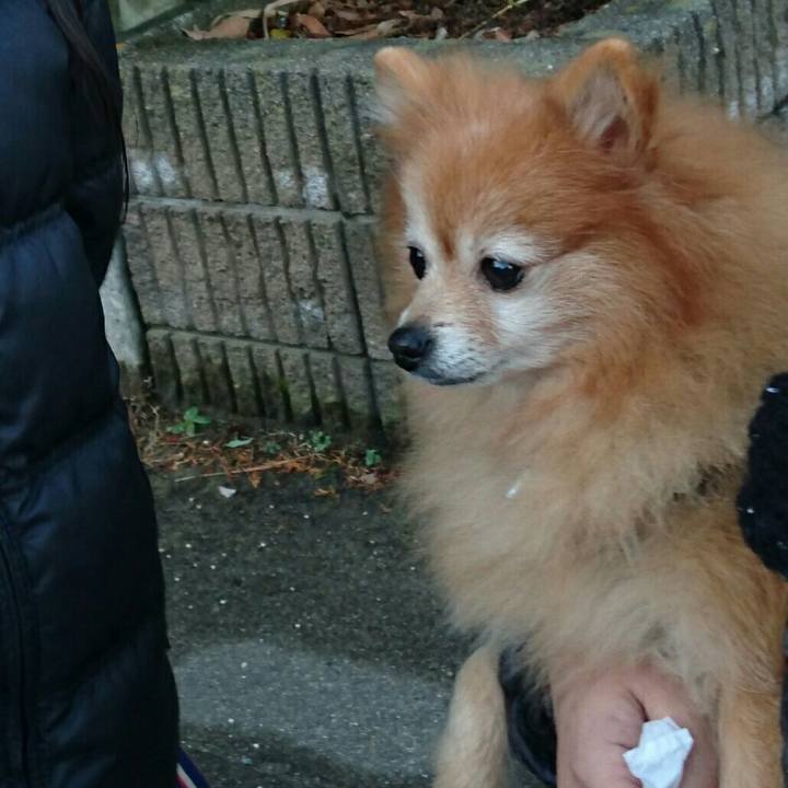 1f160b01 f3fd 4d4d 8fe4 84903af015bd