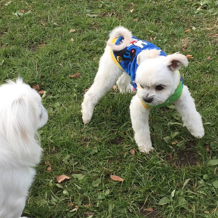 1f167421 11e2 4f3e 9195 5e7d41f333b2