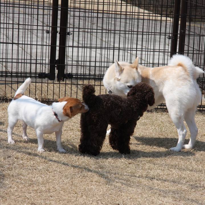 1f172489 9a1d 4f04 a56f fa6cf8885127