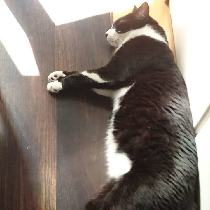 1f173df0 a31f 4cb4 b1c4 677e4bc169b5