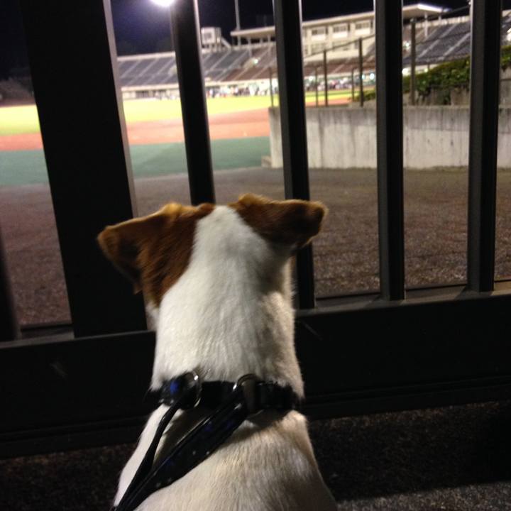 1f17f0e6 a644 4ab7 9dab d45e380ab699