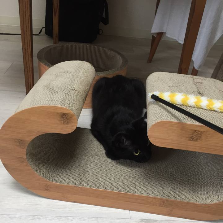 1f180dda 490e 44f1 b2c1 a60778e274a0