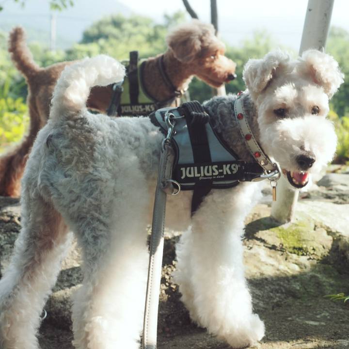 1f182cc2 134e 4009 8d67 206979758499