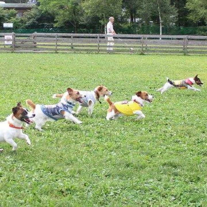 1f183137 de77 4e51 857f ecd4aad41f56