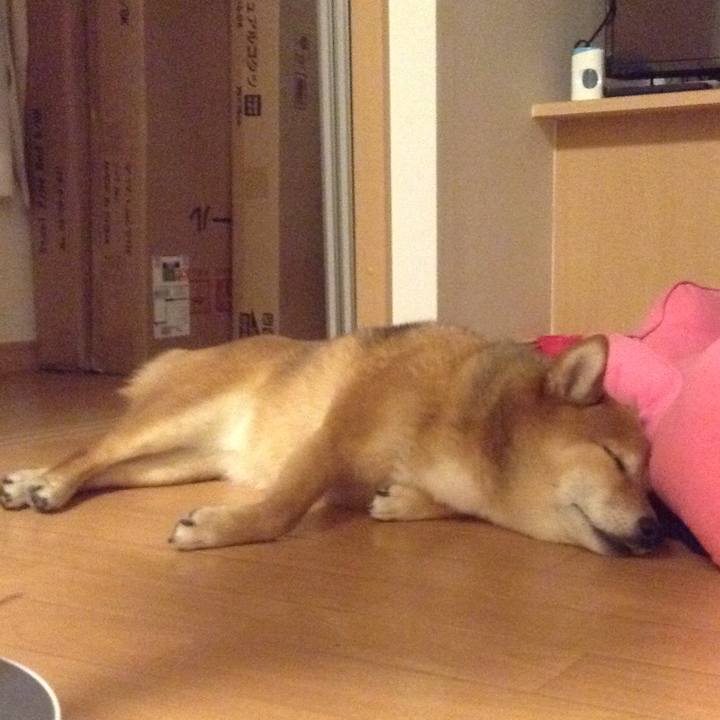 1f190eb9 cada 410c 817c 4ffb7e7ff25c