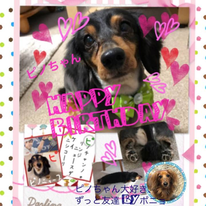 1f197128 5b01 4fba a587 4c3d5c18b660