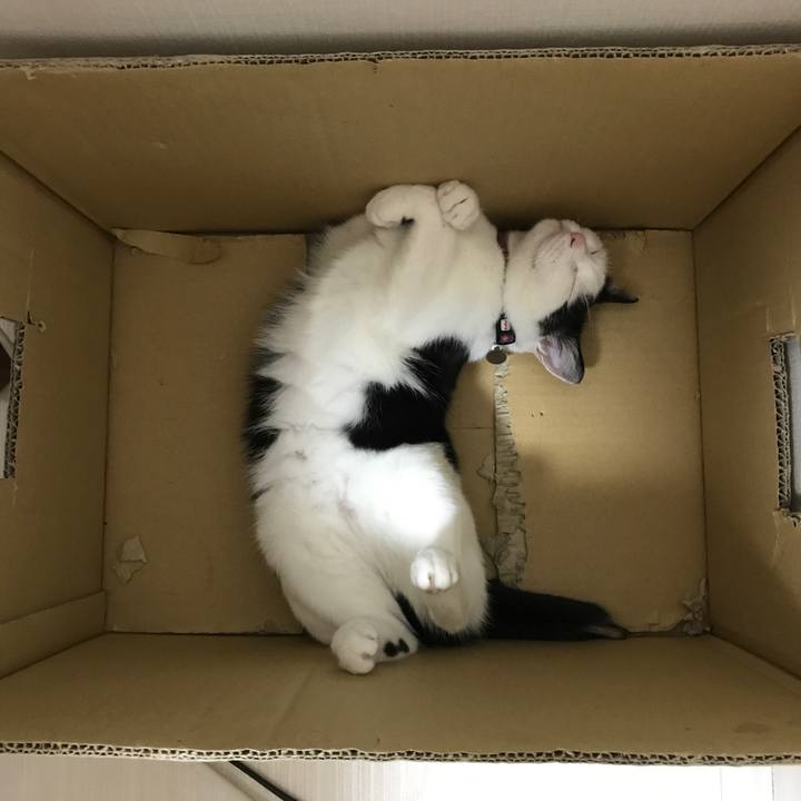 1f19862a 8f00 4b1f 86f1 dbfc1f5f8e32