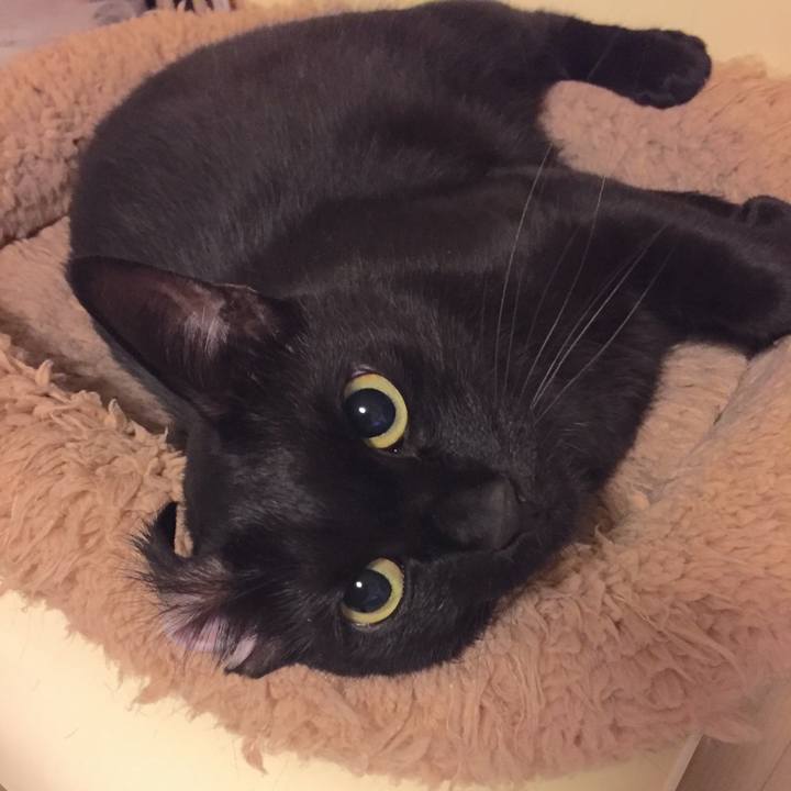 1f19882c 5995 4209 a4c9 2768a17c45cf