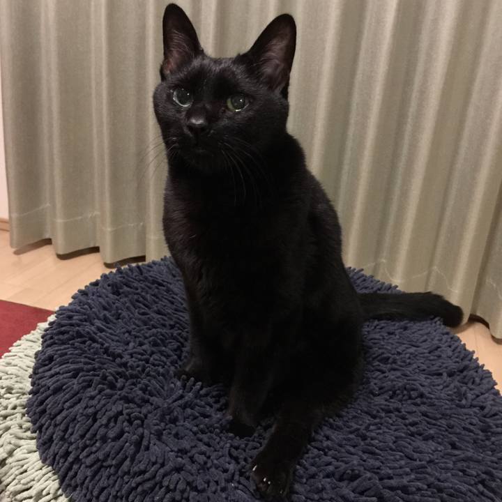 1f1a1332 5390 4d21 9cdb 4e7e383b93df