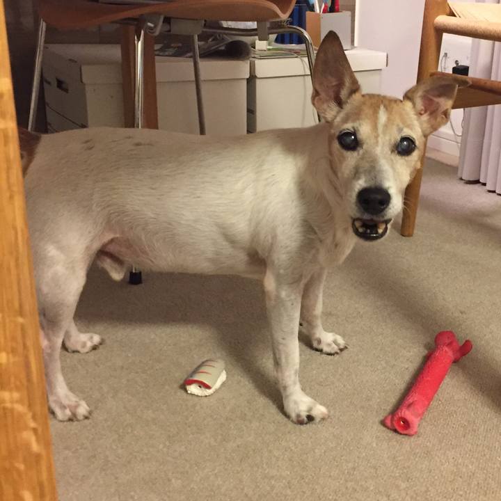 1f1a9a9d e7bf 4adc 9078 54632d89ed28