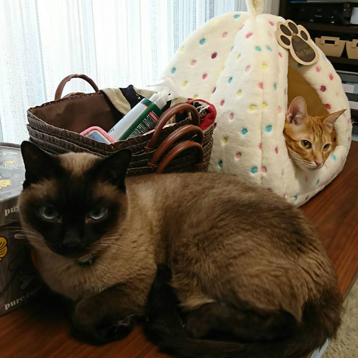 1f1bf7ff 3a9d 4530 8f76 5069bee62c8a