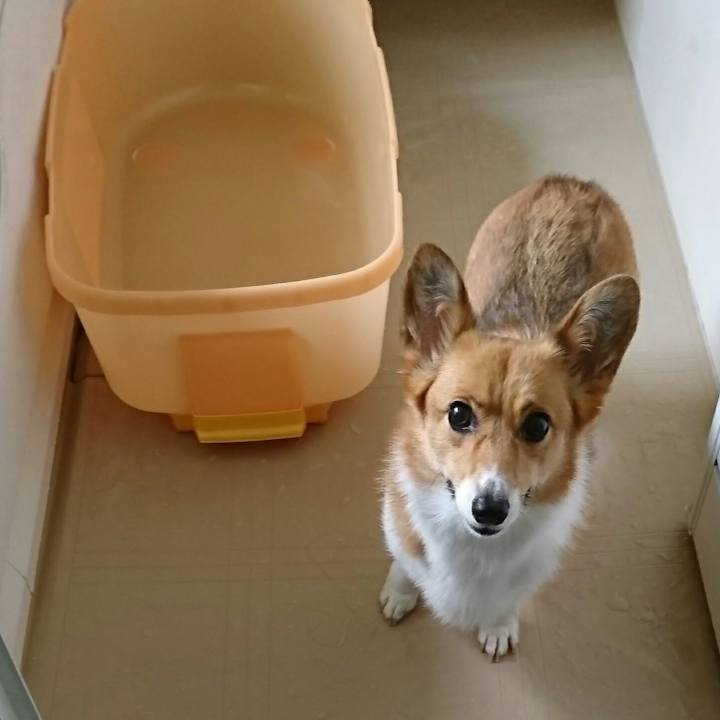 1f1c3076 15b3 4a39 9ad5 99138578b16c