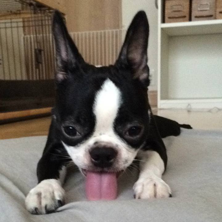 1f1d1822 3c32 430a 850d e98cb8390fda