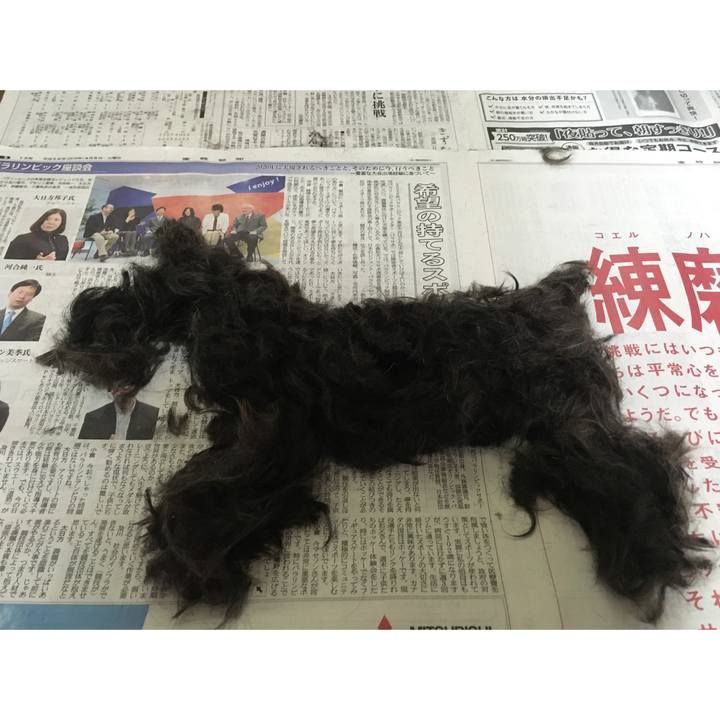 1f1d8e02 0d61 4338 83f6 49fa624cda02