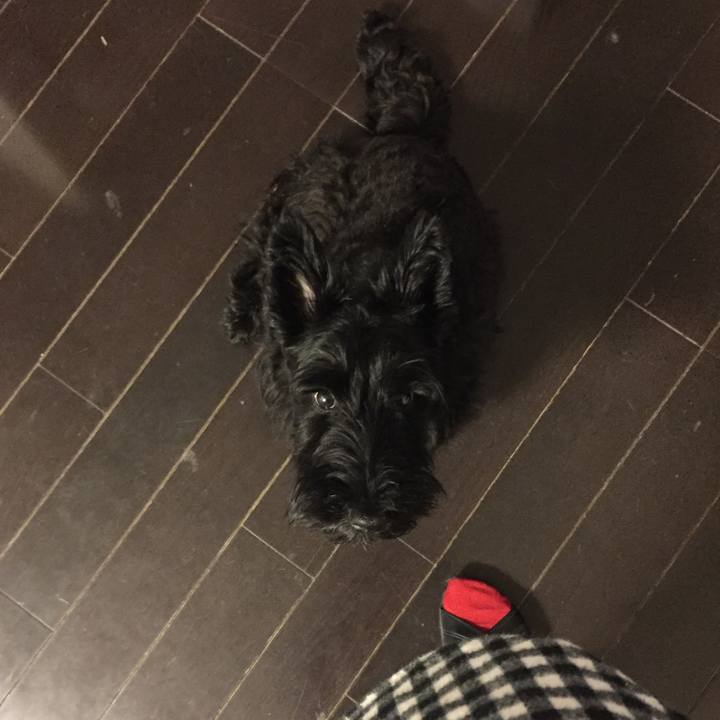 1f1dbbb2 7f61 4243 aebd ab24d387510d