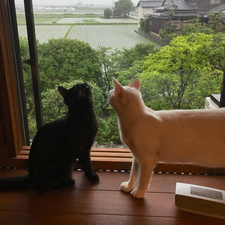 1f1e9f76 a970 498f be44 0ff35a12f858