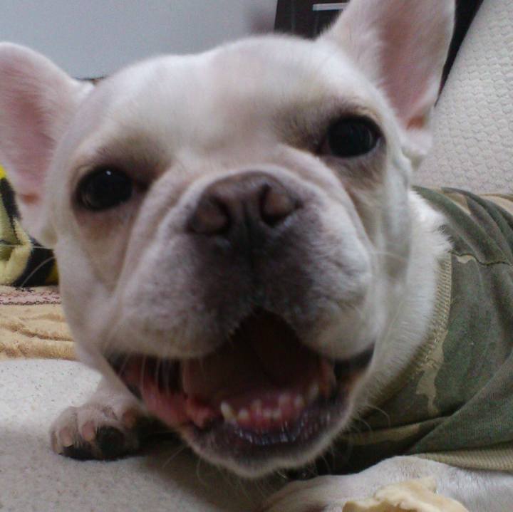 1f1f1d5c 43df 4bd5 b186 4aedf9956a36