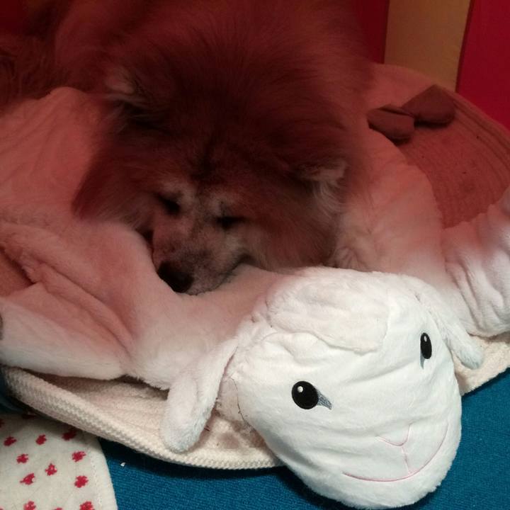 1f1f81bb 040f 4454 a21e cf8c2c8e355d