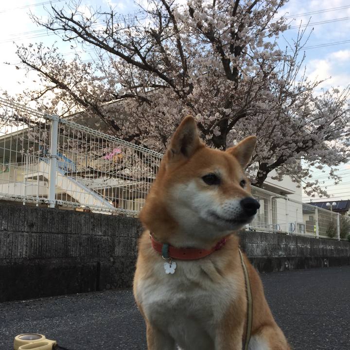 1f1ff7c8 de33 4923 92e8 457f8f79d0c2