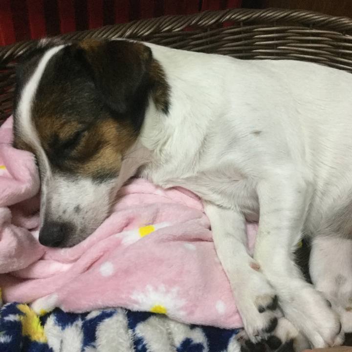 1f201563 9289 42fc 914f 3a84ee82c57b