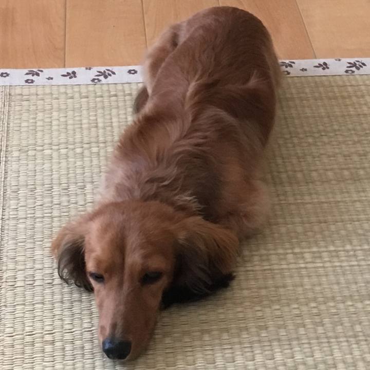 1f20ed17 35a9 43a3 92ad dcfac2252887