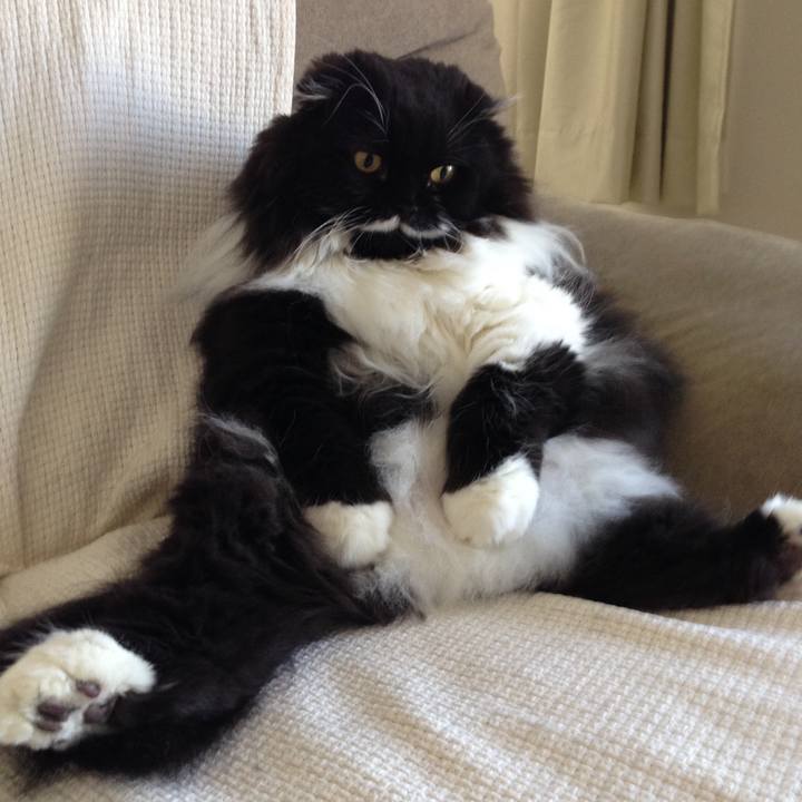 1f20ee61 95da 4343 93c4 764c40c2816b