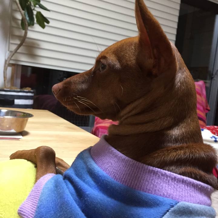 1f21015c 19e6 4f40 a44c 39b65787484f