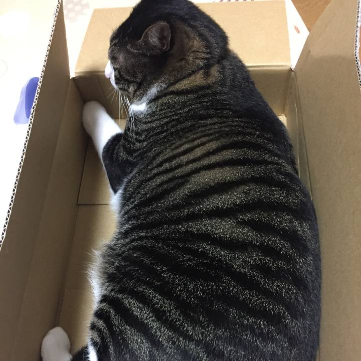 1f210b61 dc1b 4031 b19a 049bc2adaa90