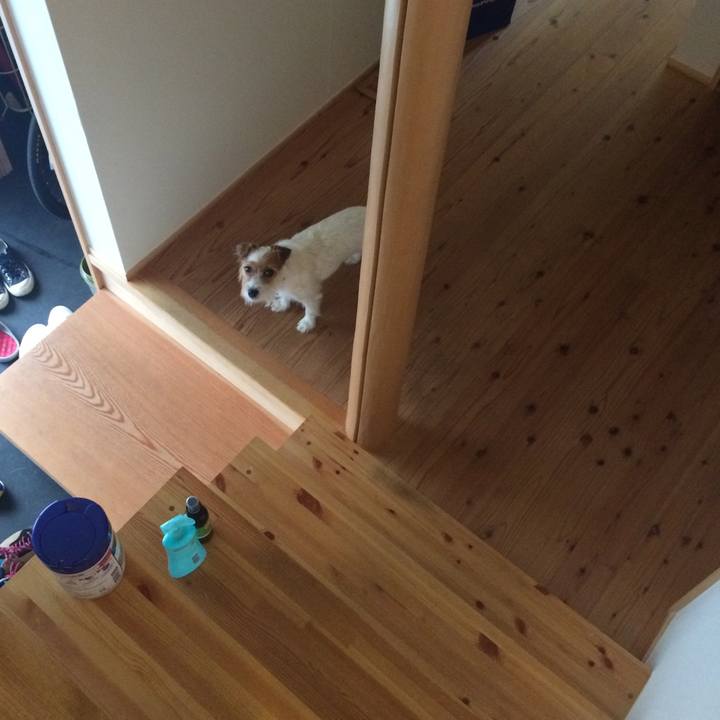 1f2138c5 6d9a 4a50 b8fb 5b0fa99a1ec8