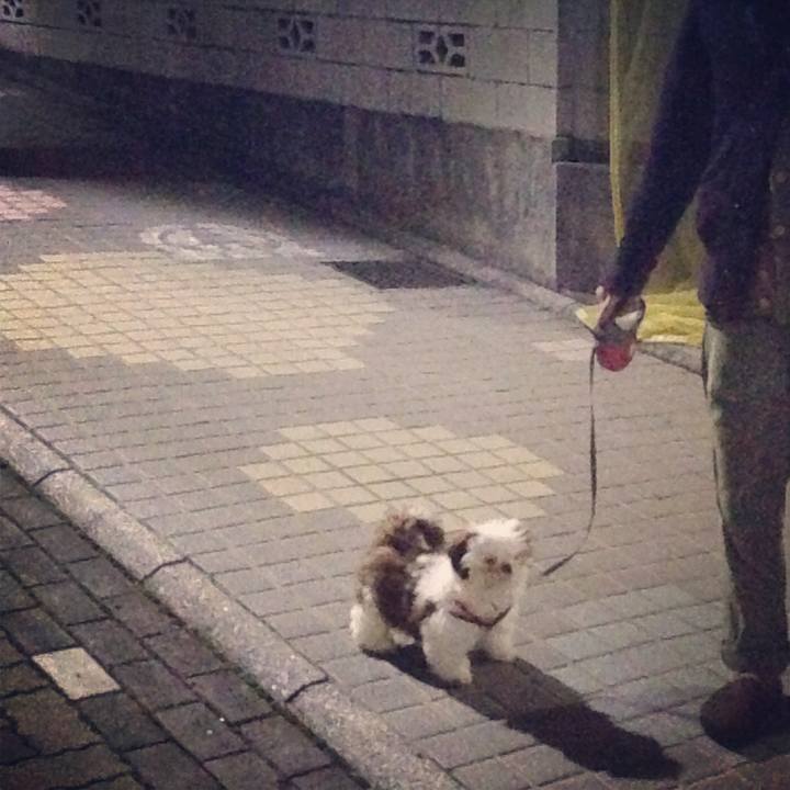 1f214655 2b43 421c 9040 8a1fb4b14912