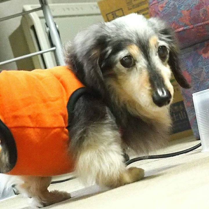 1f217d1d df0c 4e7c bb3f 07e0a401c395