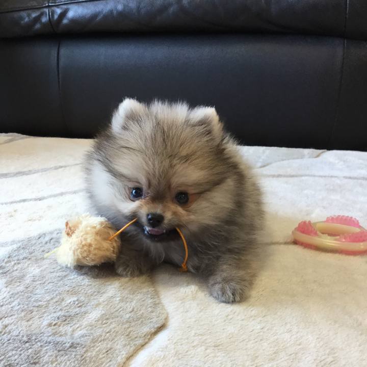 1f232862 9b8d 4025 b5d9 186609f061f4