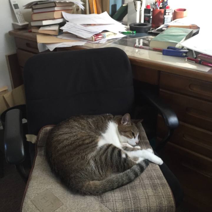 1f235991 476b 4b13 834b e3c072edc8e8