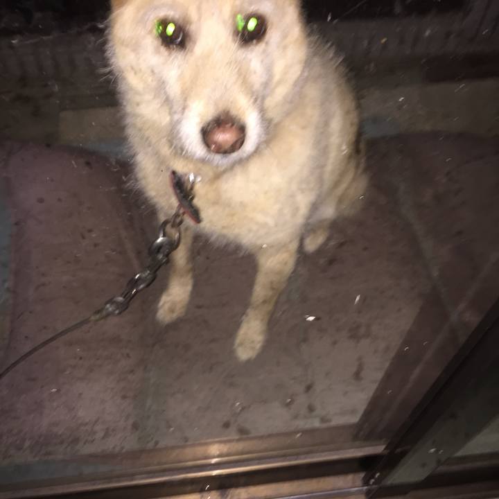 1f23d060 fbbf 439a a75c 78a9655018d8