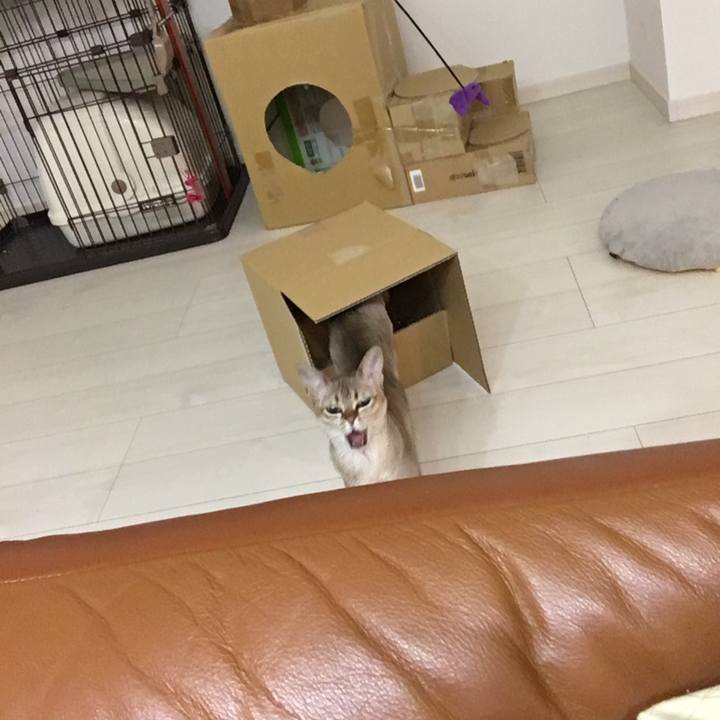 1f23fd1d 374d 4ab6 9f8f 1f87021678a4