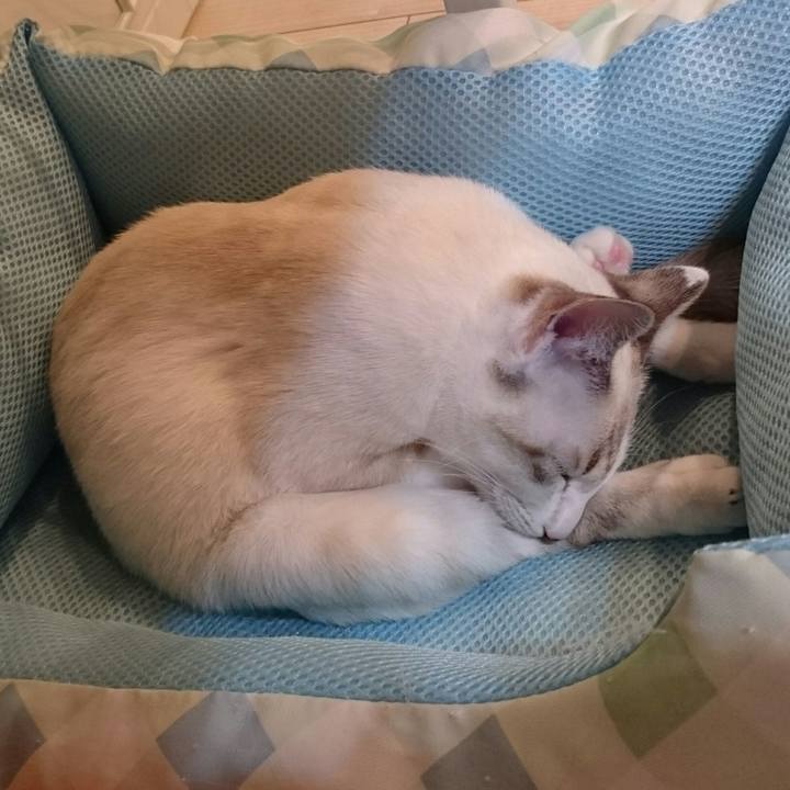 1f24078f 12f1 4d6a 9dfd 7ab3f2e2e4c1