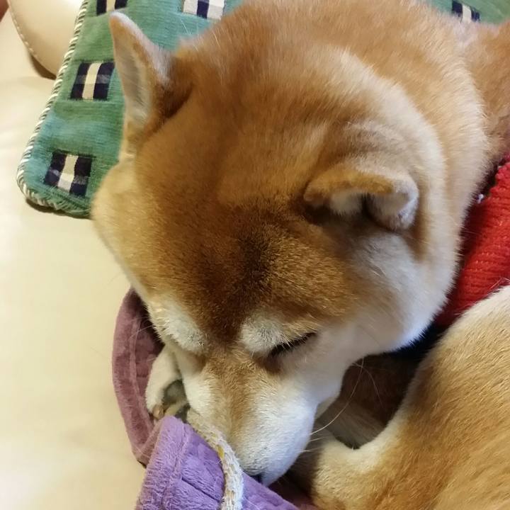 1f243f85 4688 426d 9440 72c782e48843