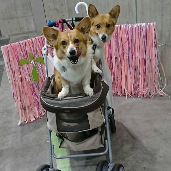 1f24fdb6 c965 4a66 9f19 82f4251acf83