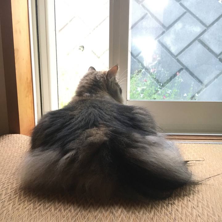 1f263e9b aa00 4e14 b234 18696b932185