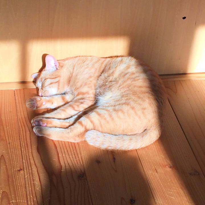 1f277228 631a 42e0 af6e 2563fb01cf87