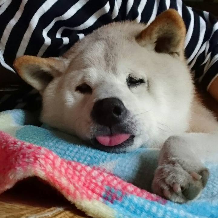 1f27769f 1702 44a9 ad4c 3fa427f3089a