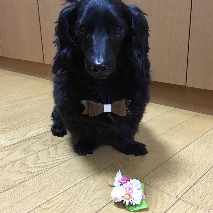 1f289716 09d0 4414 8fbb c5287ed95f5e