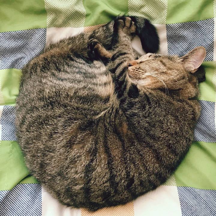 1f28bdea 72fc 4d65 83d5 e832c4e46fc7