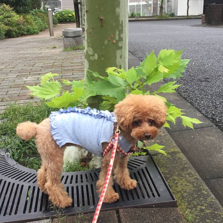 1f28e595 c0ee 4599 b2ed 35dc6a71f28e