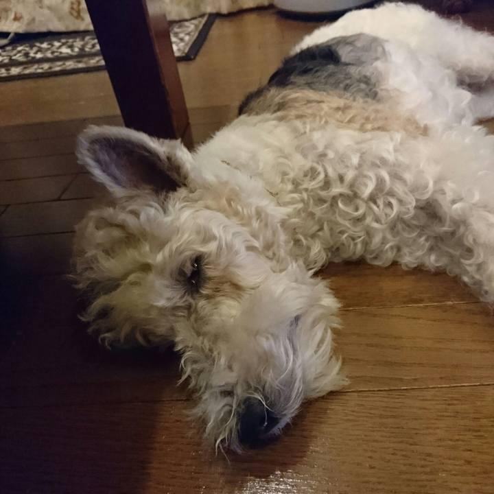 1f295069 703e 4c4a 90b9 782d9a49775f