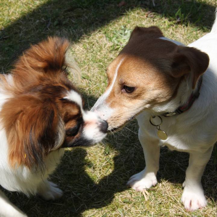 1f2a5fc4 0792 44fd 930c 808f465864ef