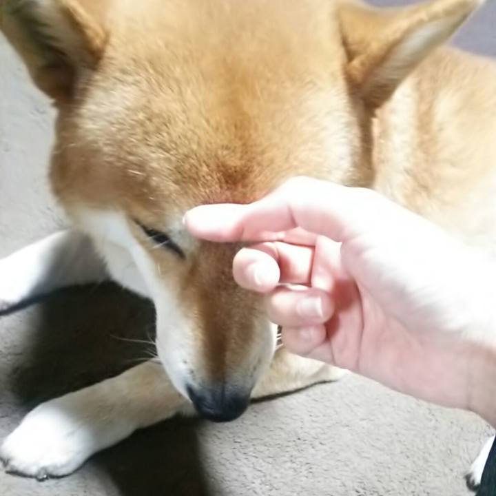 1f2a9306 dc8f 43a6 96c9 5d76b3bf1442