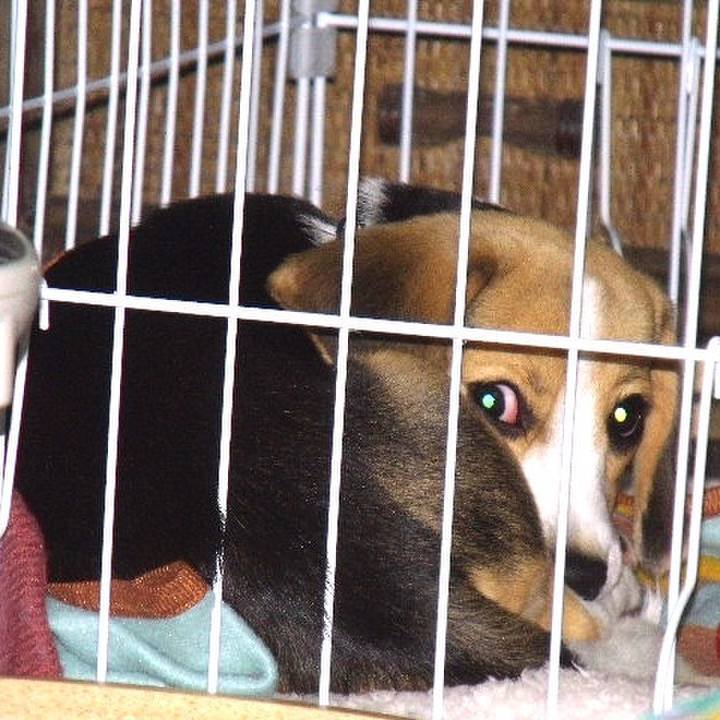 1f2c994d 8fb8 4b62 870a 1970d6a822ab